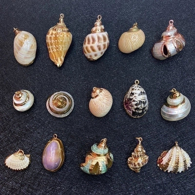 Natural Shell Gold Edge Charm