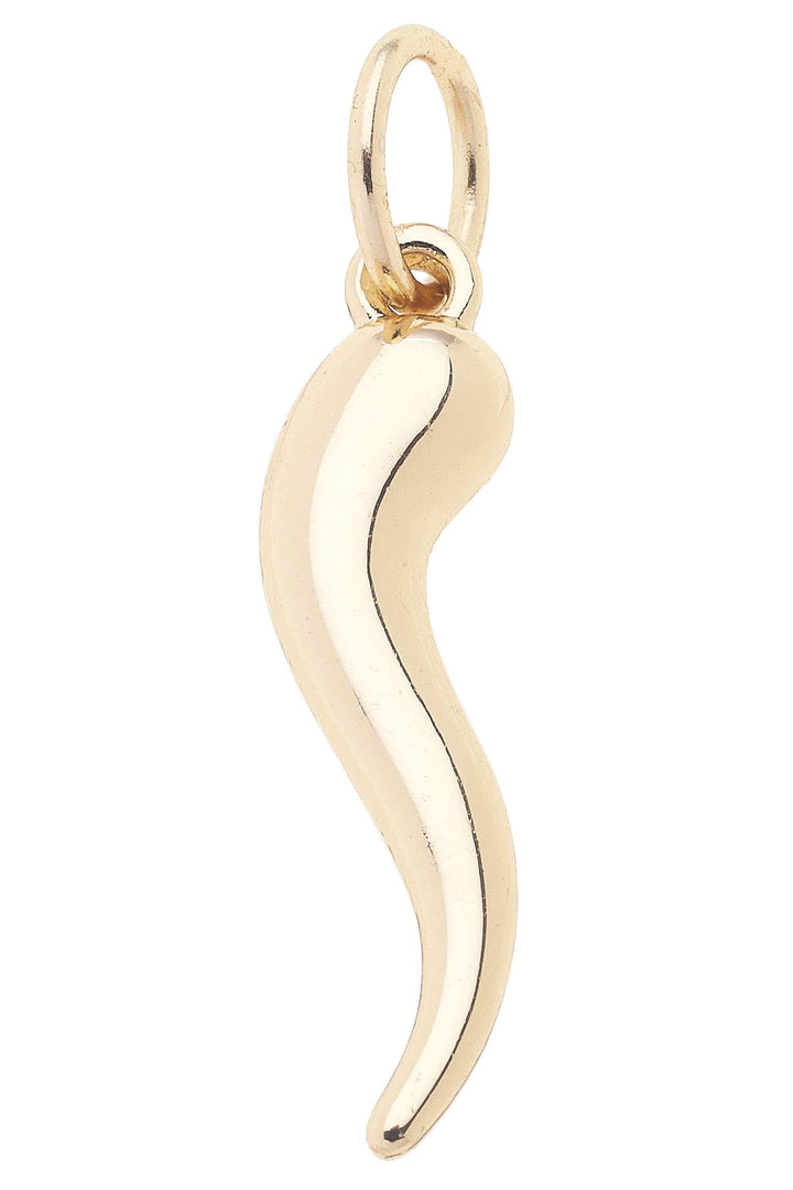Horn Charm