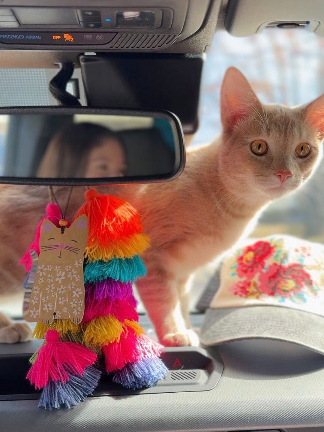 Cat Car Air Freshener