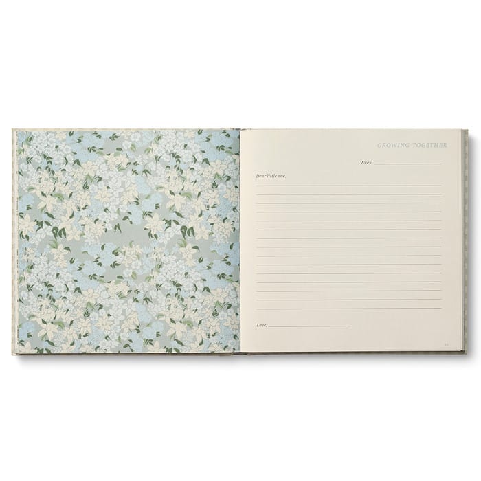 Expecting You, A Keepsake Pregnancy Journal