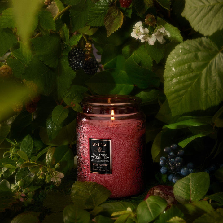 Voluspa Foraged Wildberry  Large Jar