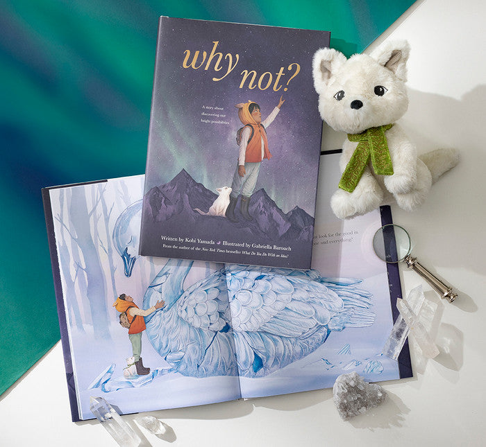 Why Not?  Book