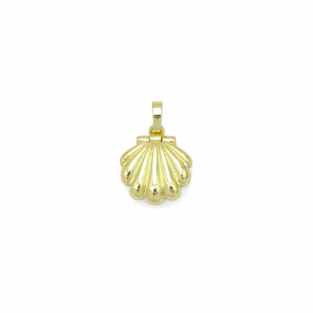 Coastal Shell Locket Pendant Coastal Shell Locket Pendant
