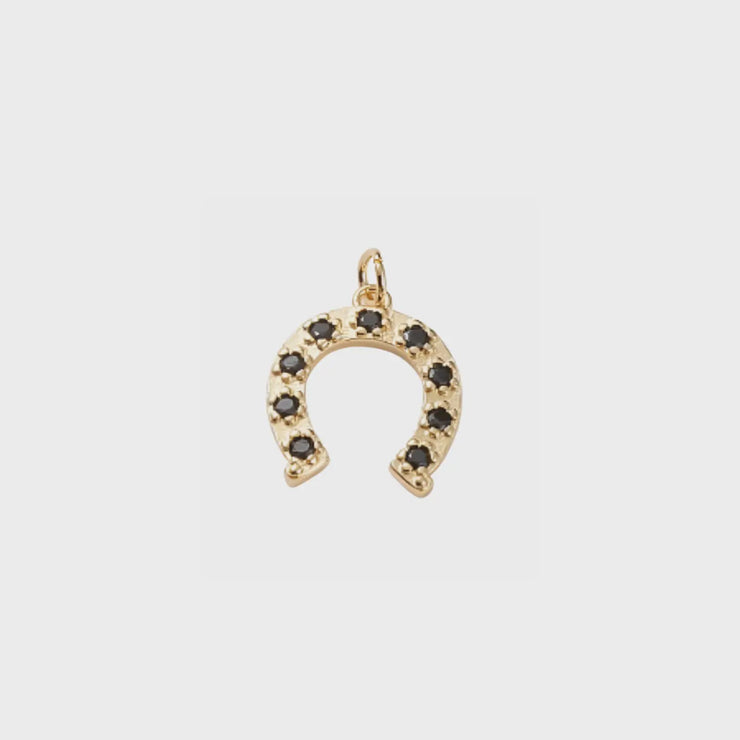 Black Crystal Horseshoe Charm