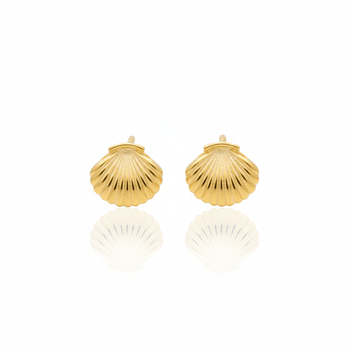 Sea Shell Stud Earrings