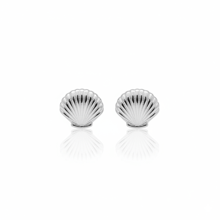 Sea Shell Stud Earrings