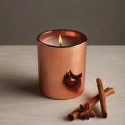 Simmered Cider Metallic Poured Candle